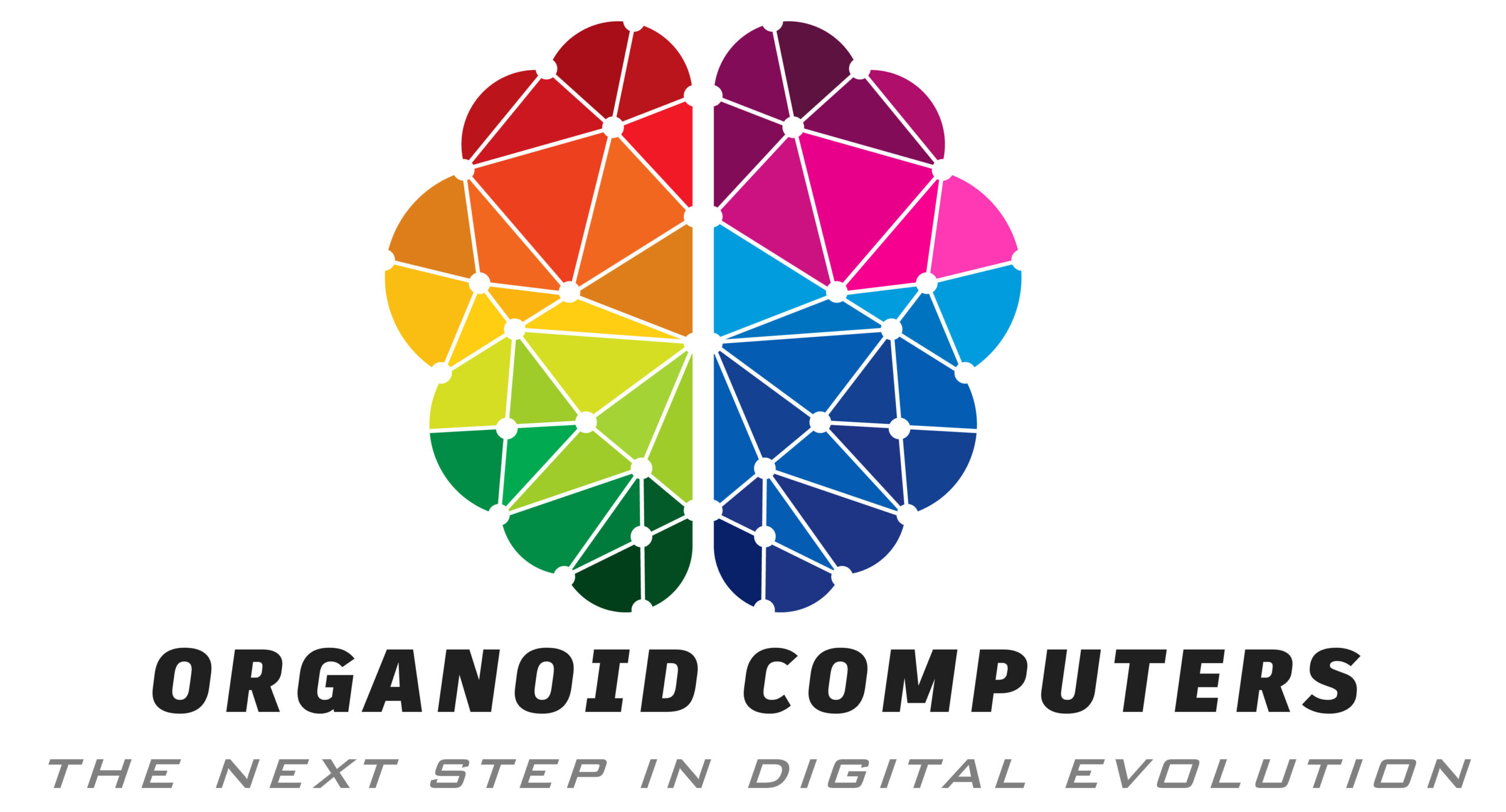 Organoid Computers